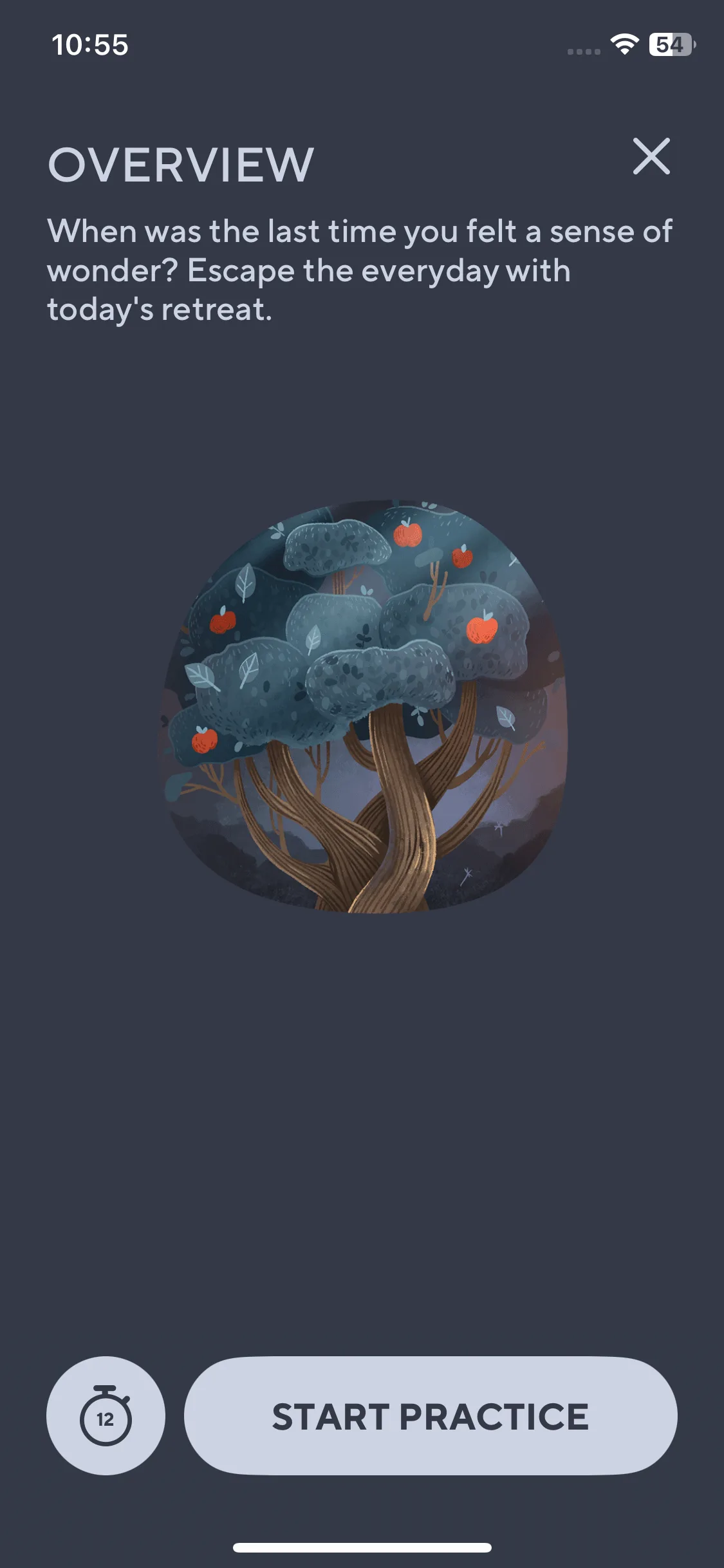 Test Image 8